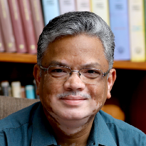 Prof. Milan Kumar Sanyal
